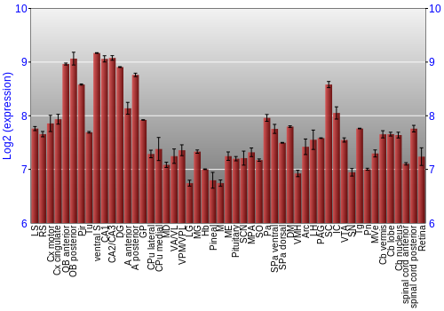Expression graph