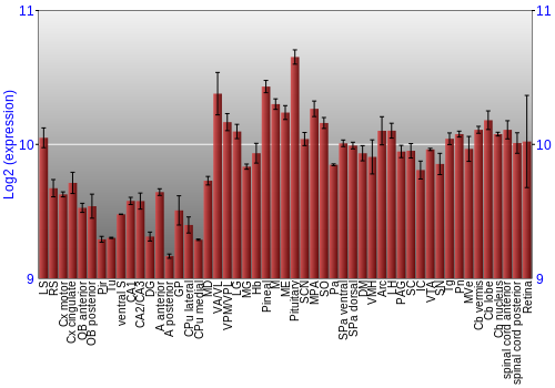 Expression graph