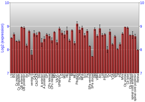 Expression graph