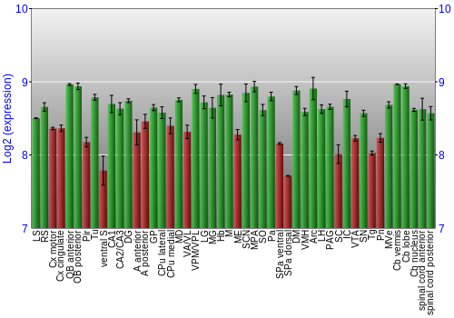 Multi-state expression graph