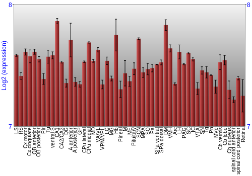Expression graph