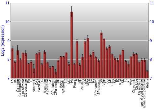 Expression graph