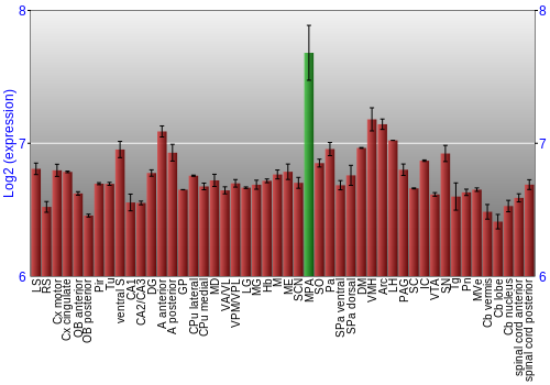 Multi-state expression graph