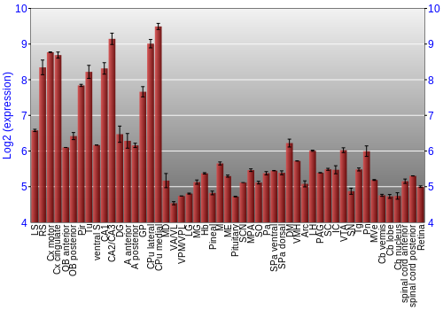 Expression graph