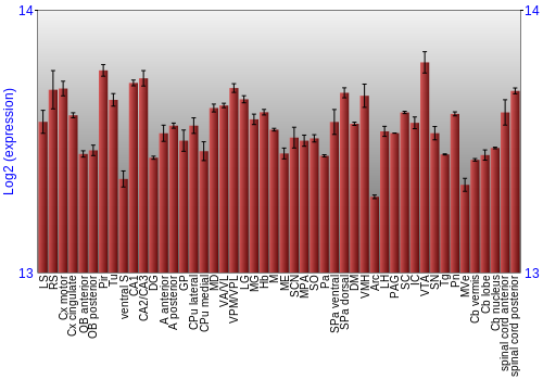Multi-state expression graph