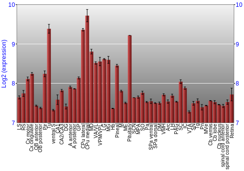 Expression graph