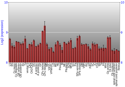 Expression graph