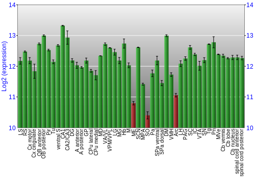 Multi-state expression graph