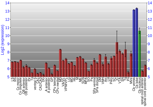 Multi-state expression graph
