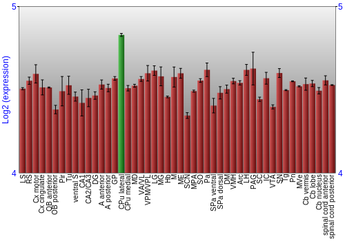 Multi-state expression graph