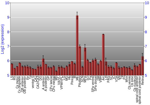 Expression graph