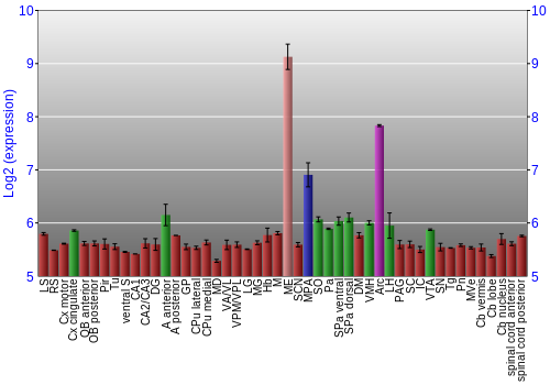 Multi-state expression graph