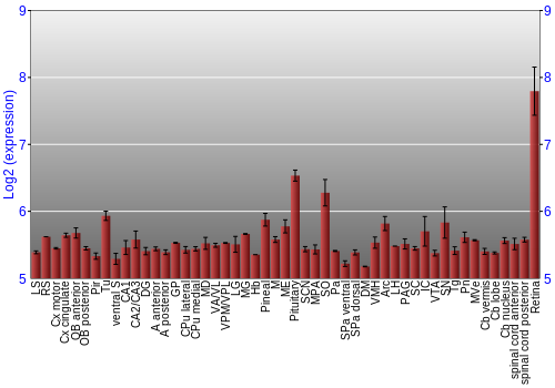 Expression graph
