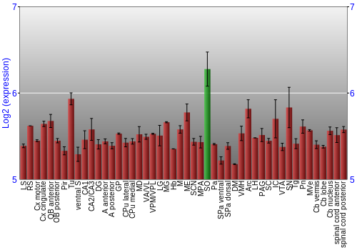 Multi-state expression graph