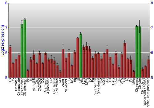 Multi-state expression graph