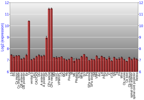 Expression graph