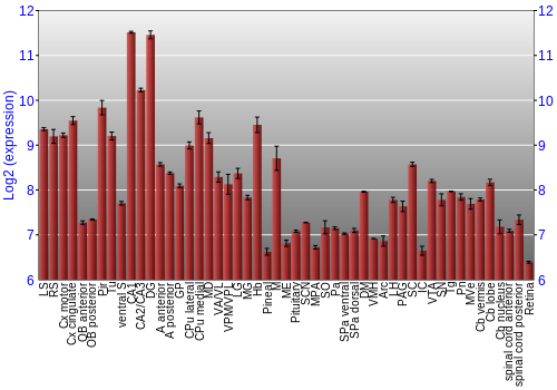 Expression graph