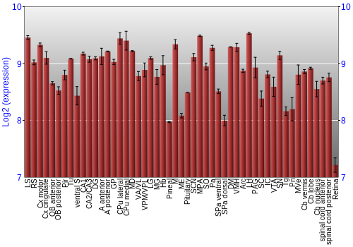Expression graph