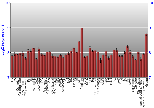 Expression graph