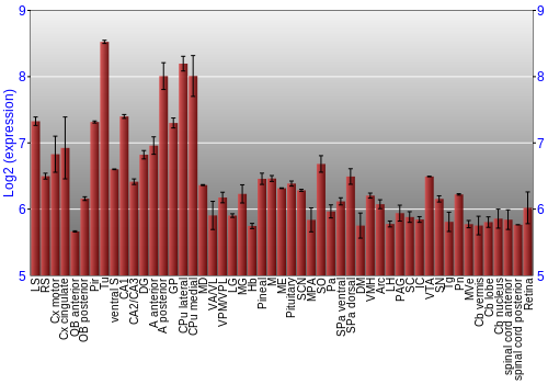Expression graph