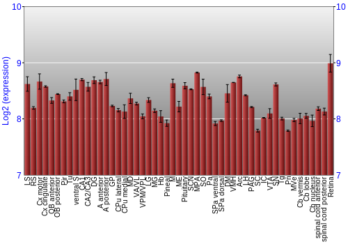 Expression graph