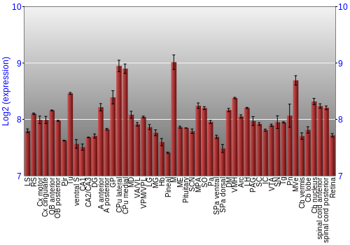 Expression graph