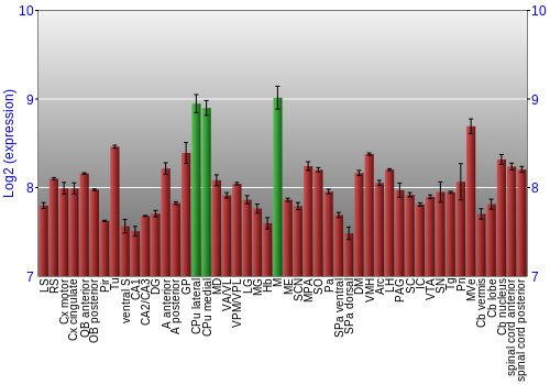 Multi-state expression graph