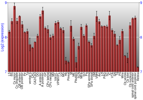 Expression graph