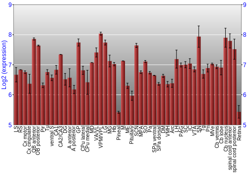 Expression graph