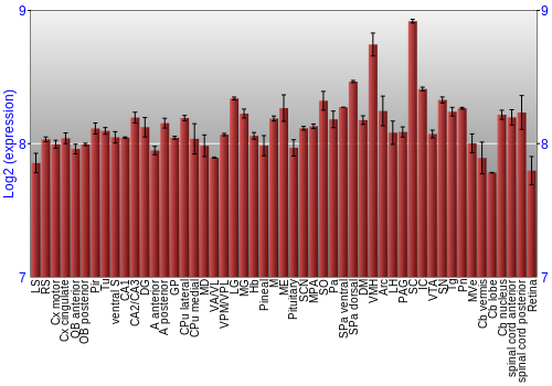 Expression graph