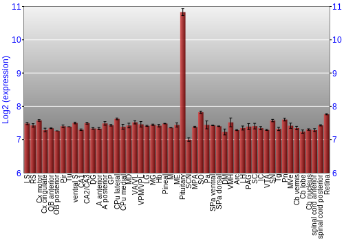 Expression graph