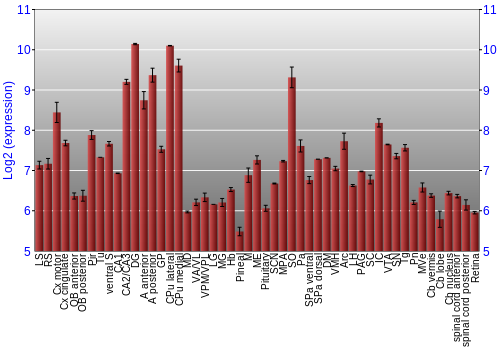 Expression graph