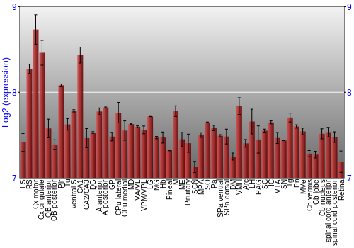 Expression graph