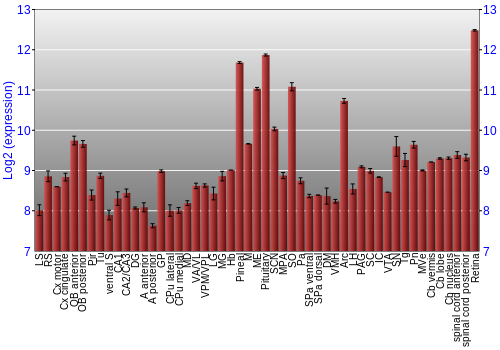 Expression graph