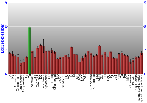 Multi-state expression graph