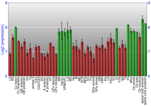Multi-state expression graph