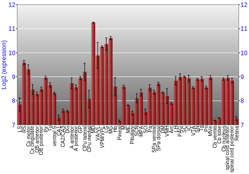 Expression graph