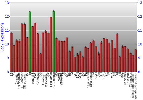 Multi-state expression graph