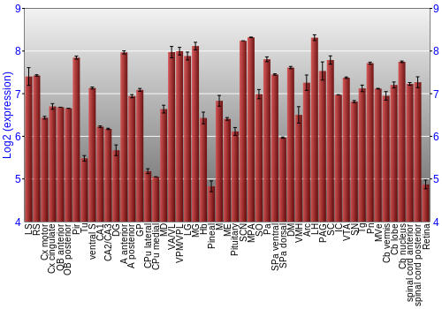 Expression graph