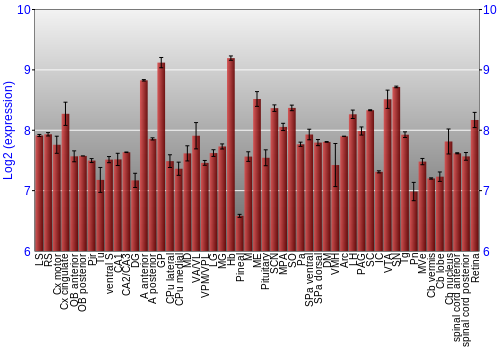 Expression graph