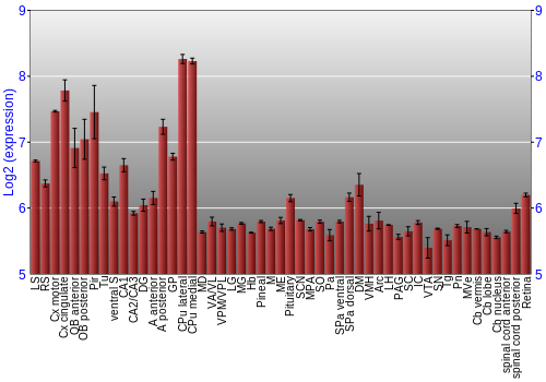 Expression graph
