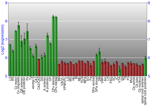 Multi-state expression graph