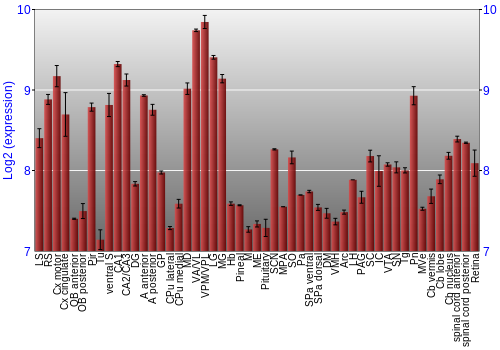 Expression graph