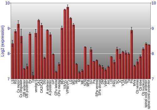 Multi-state expression graph
