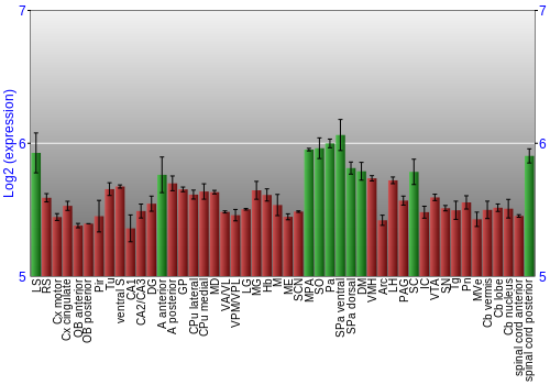 Multi-state expression graph