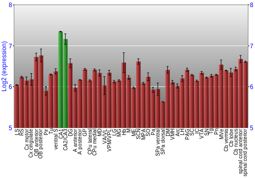 Multi-state expression graph