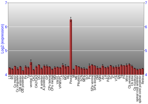 Expression graph