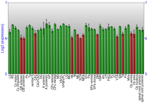 Multi-state expression graph