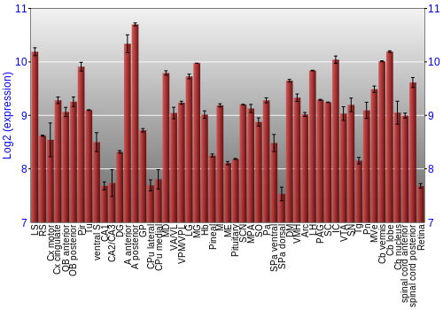 Expression graph