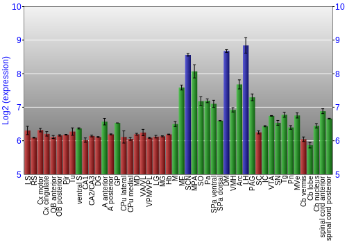 Multi-state expression graph